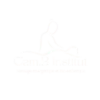logo-cambinstitut